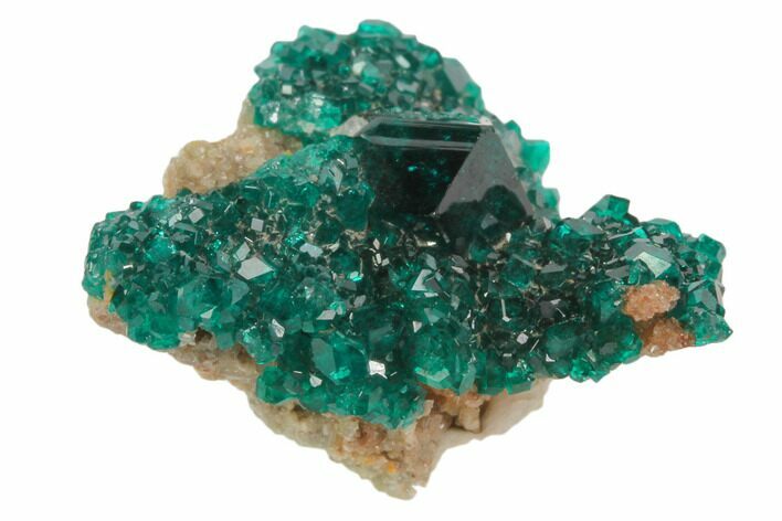 Gemmy, Dioptase Cluster With Large Crystal - Namibia #78693